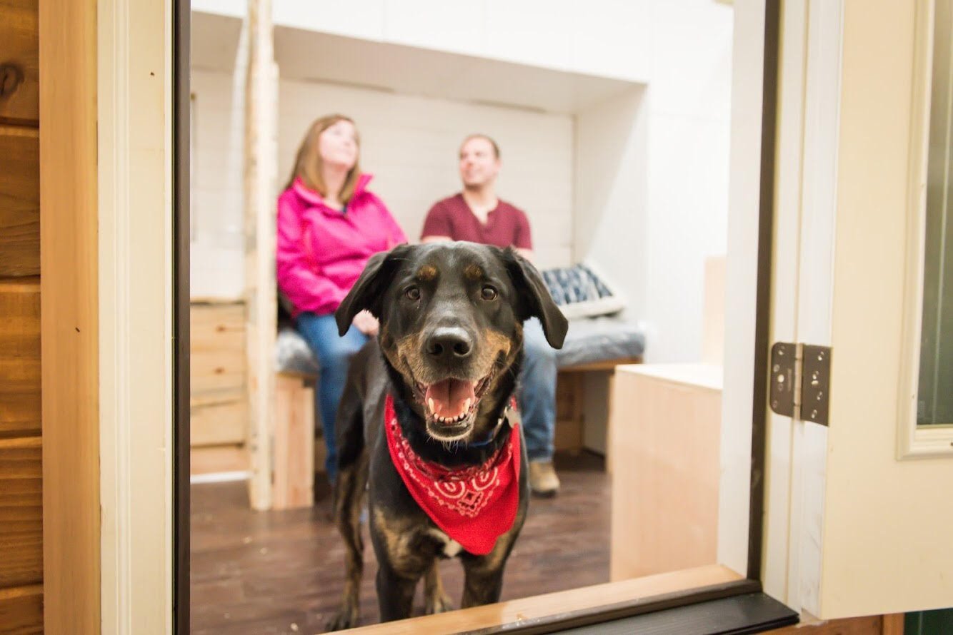 How to Live in a Tiny Home with Pets—Dogs and Cats!